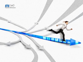 Discover the key differences between Fractional CMO Services and Marketing Consultancy. Learn the best solution for your business.