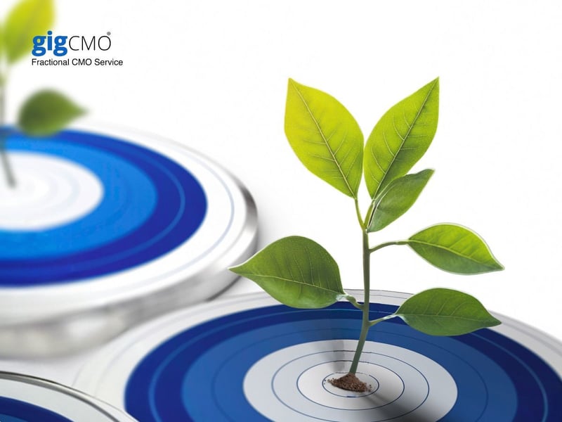 20250922 - OP1 BP224 - The Essential B2B Marketing Strategies to Grow Your Business - gigCMO