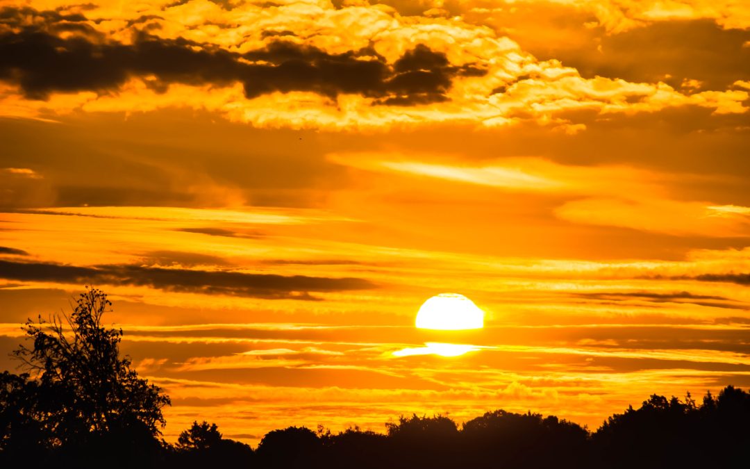 Are we in the Golden Age of the Gig Economy ?