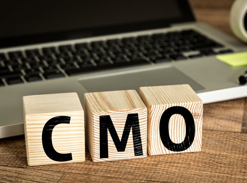 What are the benefits to your business of a Fractional CMO?