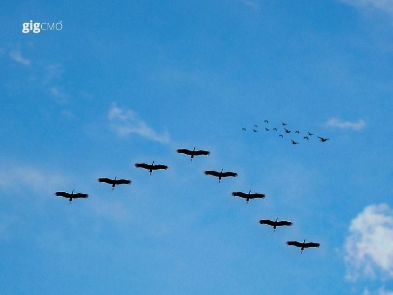WK42 - How to Stay Competitive in a Changing Market by Leveraging a Flexible Team