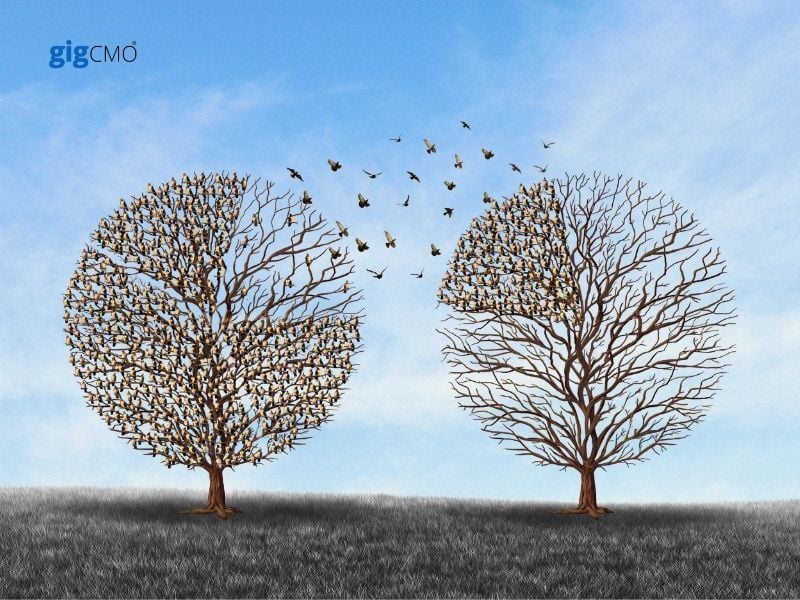 WK43 - Maximising Start-up Growth_ The Power of Outsourcing Strategic Roles