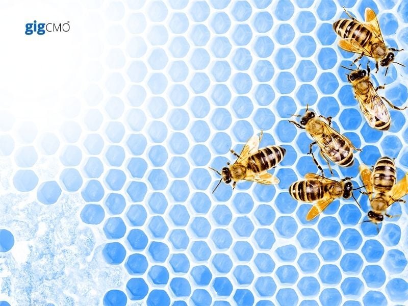 WK44 - Marketing Technology to Improve Team Efficiency