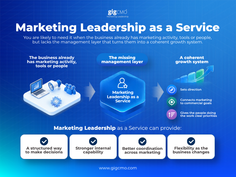 7 Signs Your Business Needs Marketing Leadership as a Service