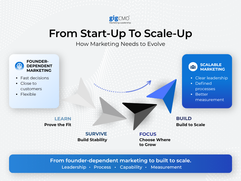 From Start-up to Scale-Up: How Your Marketing Model Needs to Evolve