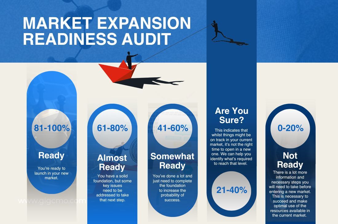 Market Expansion Readiness Audit (1)