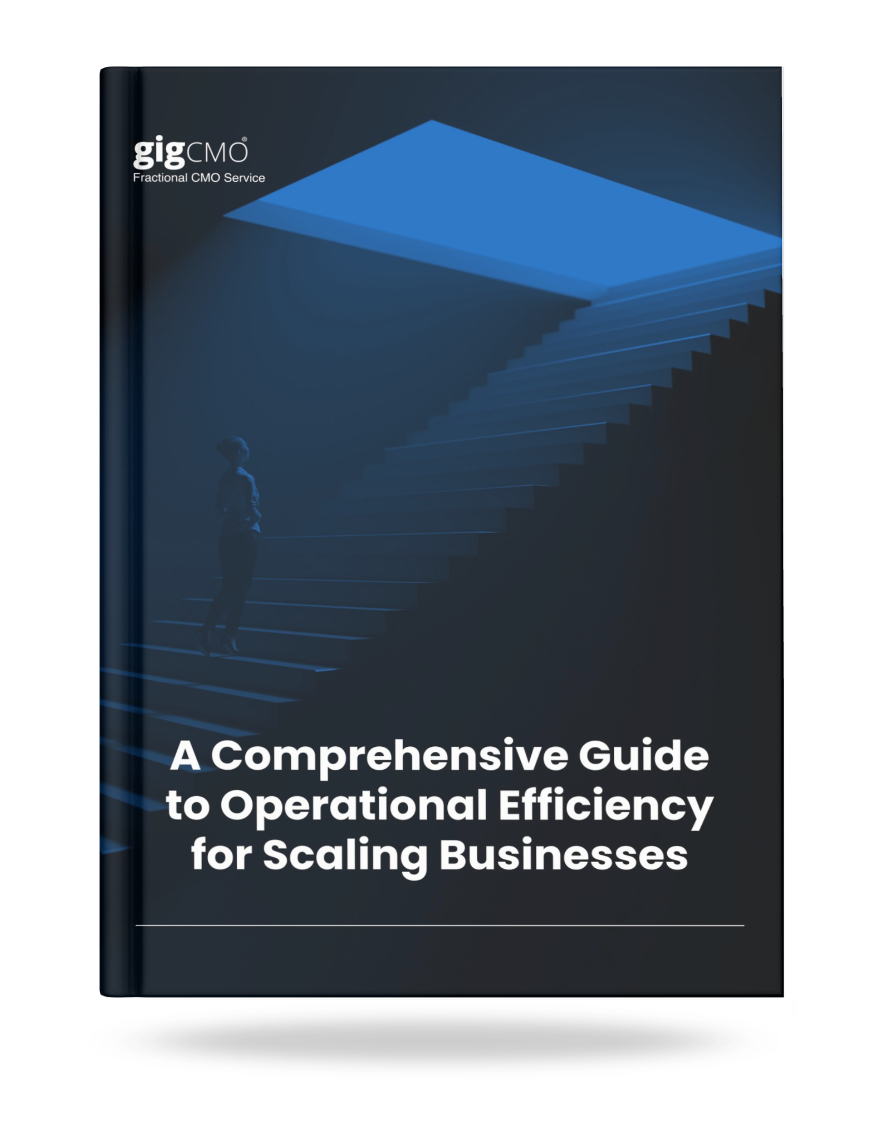 Operational Efficiency Guide for Scaling Businesses