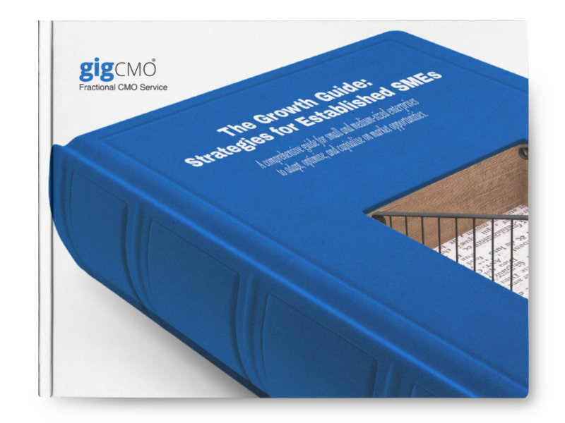 The Growth Guide: Strategies for Established SMEs