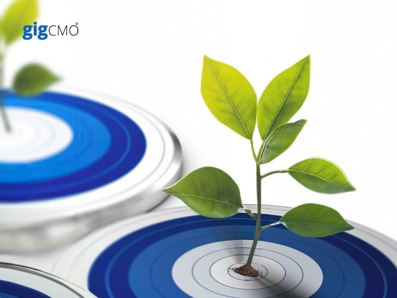 The Essential B2B Marketing Strategies to Grow Your Business